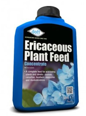 Ericaceous Plant Feed - 1 Litre (a384)