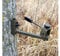 HME Products Better Trail Camera Holder Olive, 7x8x2