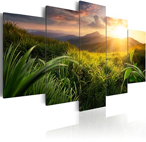 B&D XXL Acrylglasbild Landschaft Natur 200x100 cm 5 Teilig Wandbild auf Acryl Glasbilder Kunstdruck Moderne Acrylglas Platte Wanddekoration Geschenke Heimdekoration Glasbild Gebirge Wiese