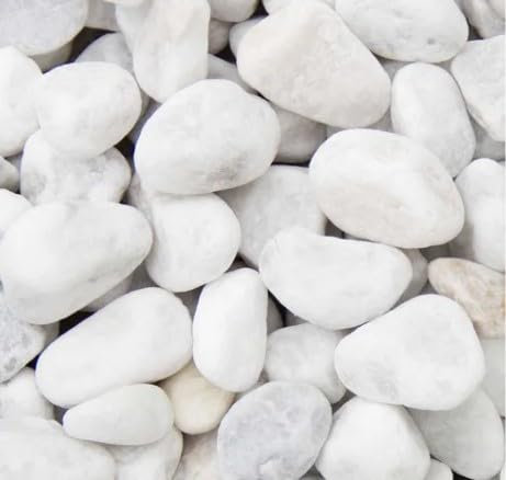 Canto Rodado Blanco 25-40MM para Decoración de Jardines y Acuarios,3kg, 5kg, 8kg, 10kg, 20kg Saco de Piedras Decorativas para Jardín, Macetas y Plantas, Paisajismo y Manualidades (5, Kilogramos)