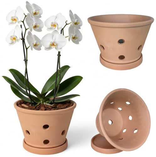 Joygoodta Macetas para orquídeas con Agujeros y platillos, macetas de Arcilla para orquídeas para trasplantar, Maceta para Interior y Exterior Que promueve la circulación del Aire, S