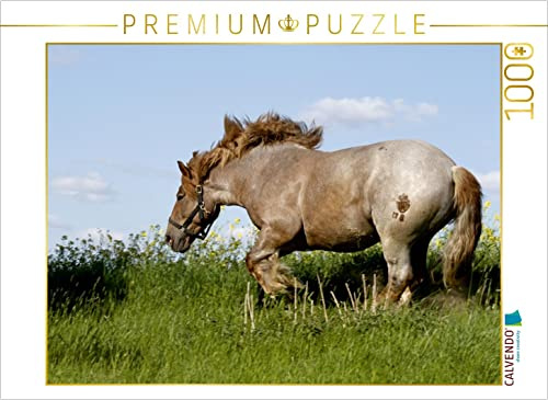 CALVENDO Puzzle Kaltblutpferd | 1000 Teile Lege-Größe 64 x 48 cm Foto-Puzzle für glückliche Stunden