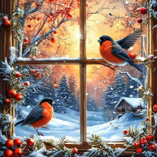 EOBROMD 5D Vogel Diamond Painting Erwachsene, Winterfenster Diamant Painting Bilder für Erwachsene Anfänger, DIY Diamant Kunst Malerei Stickerei Set Kreuzstich Bilder Home Dekor 30x30cm