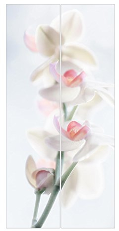 Bilderwelten Schiebegardinen - Zerbrechliche Orchidee Ohne Aufhängung, 2X á 250 x 60cm