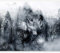 murando - Vlies Fototapete Wolf 350x256 cm - Foto Tapete Schlafzimmer Wohnzimmer Moderne Vliestapete XXL Wandtapete Motivtapeten Bildtapete 3d Effekt Wand Dekoration - Wald schwarz-weiß g-A-0139-a-b