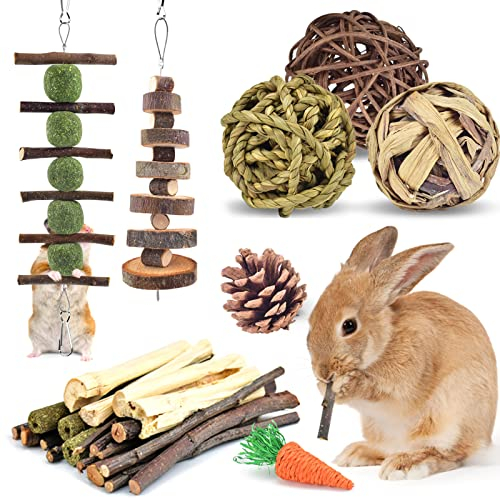 ERKOON Kaninchen Zubehoer, Kaninchen Kauspielzeug, Hasen Beschäftigung Kleintiere Natürliche Timothy Heu Sticks Apfelstäbchen Zahnpflege Leckerlis Chinchilla Meerschweinchen Rennmäuse (Mittelgroße)
