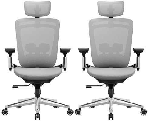 SONGMICS Bürostuhl, 2er Set, Schreibtischstuhl, ergonomisch, verstellbar, neigbare Rückenlehne, nach vorne oder hinten Verstellbarer Sitz, bis 150 kg belastbar, Taubengrau OBN068G01-2