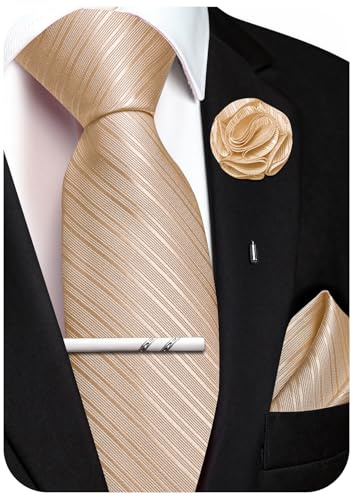 Ailisus Krawatte Herren Set Streifen Seiden Krawatte mit Einstecktuch Ansteckblume Krawattenklammer für Hochzeit Party 4PCS