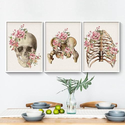 AWKFHF Blumen Skelett Anatomie Bilder,Medizinische Leinwandbild Poster Kunstdruck Klinik Krankenhaus Deko Bilder Wanddekoration - ohne Rahmen (3X60X90CM,ohne Rahmen)