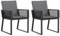vidaXL Gartenstühle 2er Set, Gartenstuhl mit Kissen, Gartensessel Stuhl für Garten Balkon Terrasse, Sessel Stuhlset Gartenmöbel, Schwarz Poly Rattan
