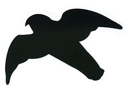 Greifvogel-Silhouetten 17/18/25 cm, 3 Stück - zum Aufkleben auf Glas. Damit Vögel nicht gegen Ihre Scheiben fliegen!