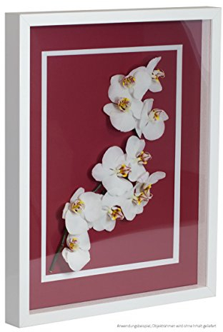 Bildershop-24 Objektrahmen FrameBox VARIO36 Weiß (matt) 70x90cm zum Einrahmen von Trikots, Blumen, Passepartouts etc.
