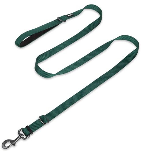 Hyhug 1,8 m Verstellbare Nylon Hundeleine mit weichem, gepolstertem Griff - Haltbare Leine mit einfachem Bolzkupplungsverschluss, ideal für große, mittlere und kleine Hunde (Groß, Dunkelgrün)