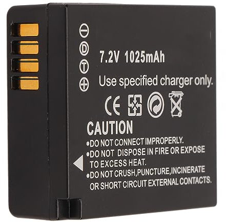 Batterie au Lithium Rechargeable pour Appareil Photo, Batterie DMW BLG10GK, Batterie au Lithium Rechargeable pour Appareils Photo Numériques 7,2 V 1025 MAh pour GX85 GX9 G10 ZS80