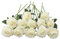 JOYHAZE Künstliche Rosen, 19,7 cm, einzelner langer Stiel, Seidenblumen, blühende Rosen für Hochzeit, Zuhause, Party, Büro, Tischdekoration, DIY-Blumenarrangements, cremefarben, 12 Stück