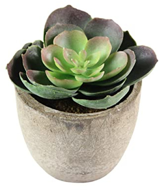 Cabilock Plantes Artificielles Décoratives avec Pots Grisés pour Bureau Salon Et Chambre pour Ajouter Une Nature à Votre Intérieur