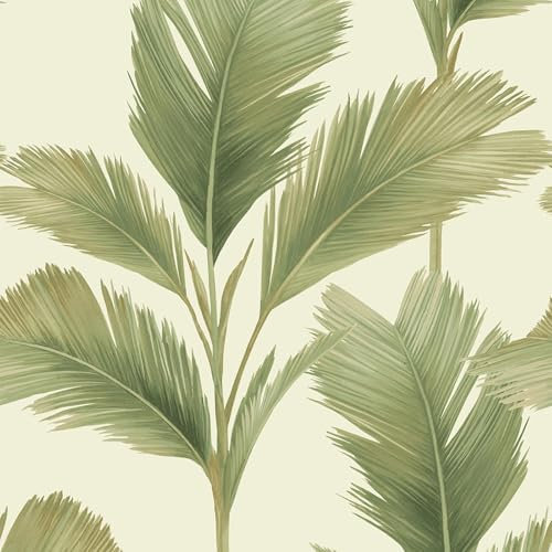 Kailani Sage Cream Wallpaper - Tropical Botanical Jungle Leaf - Modern Contemporary Stylish Feature Wall