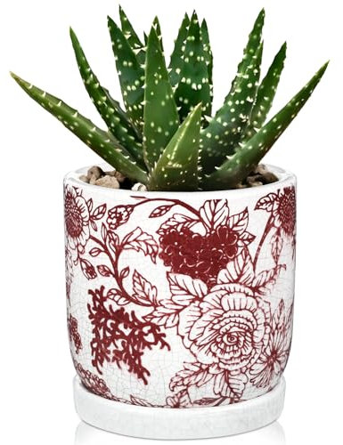 Hollyone Pot de fleurs en céramique rouge de 14 cm avec soucoupe et trou de drainage, pot de fleurs décoratif avec vernis craquelé, poterie de fleurs pour plantes grasses, orchidées, cactus et plantes