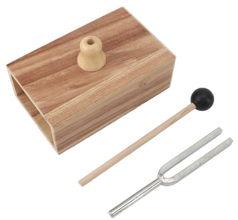 Steel Acoustic Tuning Fork Set with Wooden Resonator Box and Rubber Hammer - 512 Hz Frequency Instrument for Sound Interference Experiments and Wave Conduction Studies