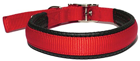 S/PROT DOG COLLAR 3/4 X 20 RED