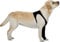 Suitical Recovery Sleeve Hund, XXS, Schwarz