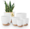 Bamworld Maceta de Interior con Drenaje 6 Piezas Auto-riego 12.7cm/14cm/15.2cm/16.5cm/17.8cm/20.3cm Macetas de Plástico para Plantas de Interior, Flores, Cactus