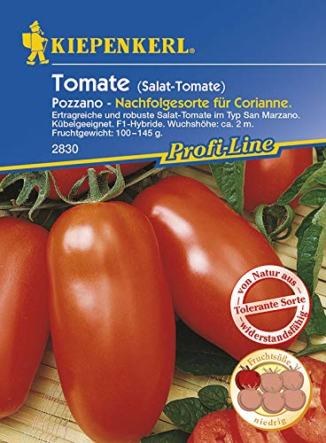 Kiepenkerl Profi-Line Salat-Tomatensamen Pozzano, F1 2830 - Ertragreiche und robuste Sorte - Wuchshöhe 2m - Gemüsesamen, Samen Gemüse, Saatgut, Gemüsepflanzen