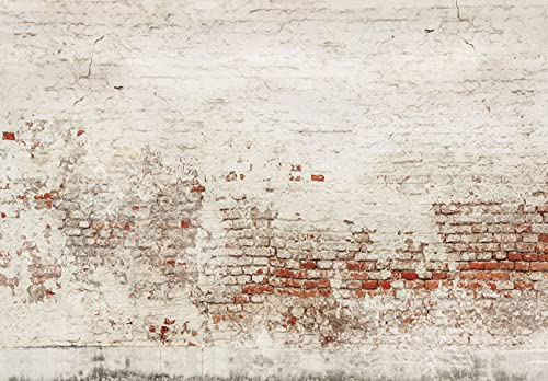 WallArena - Vlies Fototapete Steinwand Mauer Stein Ziegelstein Ziegel 368x254 cm - Fototapeten - Tapeten - für Wohnzimmer Schlafzimmer - Vliestapete Wandtapete Tapete 3D Effekt- inkl. Kleister