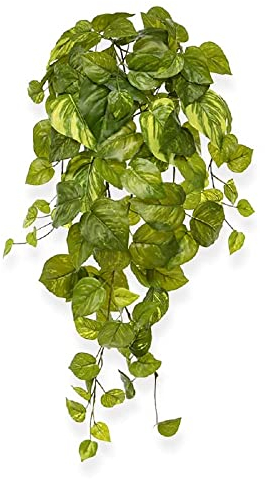 BloomPost Pothos Künstliche Hängepflanze 55 cm - Haustier und kindersicher – Künstliche Zimmerpflanze für Heim und Bürodekoration