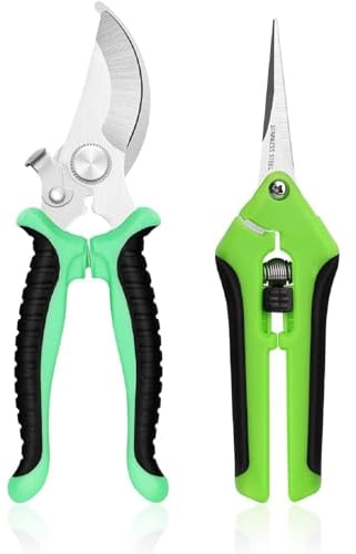 Cesoia Da Manuale Da Giardinaggio,Forbici da Potatura in Acciaio Inox,Forbici Da Potatura Bonsai,Cesoie Da Giardino Professionali,2PC Forbici Per Fiori Forbici Con Impugnatura Ergonomica