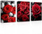 CXHOSTENT Rote Rosen Leinwand Wandbilder 3-teilig rote Blumen Kunstdrucke Badezimmer Dekor abstrakte Rosen Blumen Bilder für Küche Heimdekoration (A, 28.00 x 35.00 cms x 3PCS)