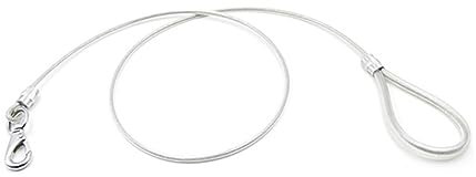 BESPORTBLE Dog Training Lead Secure Clip 0.6 x 120cm White Chew Proof Pet Leash for Large Dogs Steel Wire