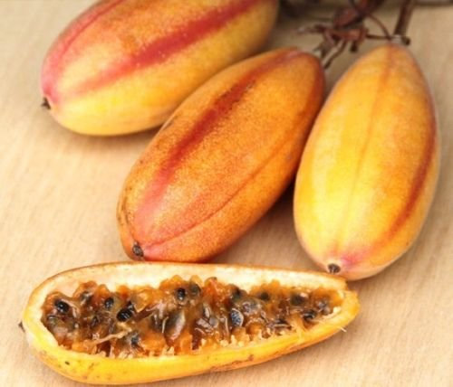 Banana graines de passion, fleur fruit de la passion PASSIFLORA mollissima 10 GRAINES