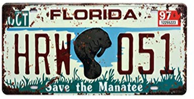 Eureya Florida HRW 051 Nummernschild Blechschild Vintage Metallschild Poster Bar Pub Home Wanddekoration 15,2 x 30,5 cm