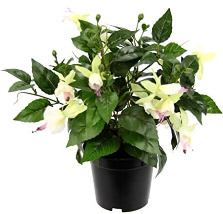 Künstliche Zierpflanze Fuchsien im Topf Kunstpflanze Zimmerpflanze Blüten Blumen Kunstblumen Seidenblumen Unechte Deko Gefälschte Doppelblütenblätter Topfpflanze Hybrida Hort Flores