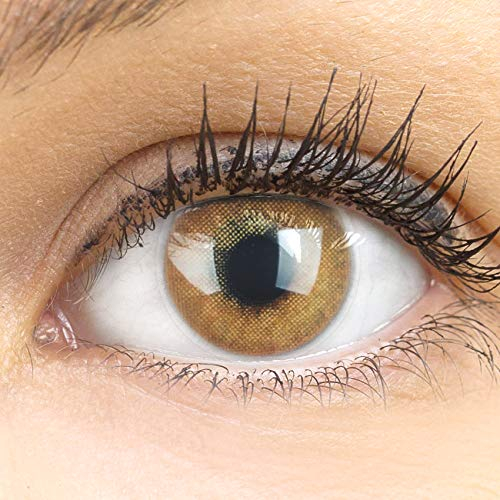 Sehr stark deckende und natürliche braune Kontaktlinsen SILIKON COMFORT NEUHEIT farbig „Jasmine Brown“ + Behälter von GLAMLENS - 1 Paar (2 Stück) - DIA 14.00 - mit Stärke -2.50 Dioptrien