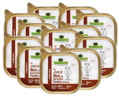 Schecker Nassfutter - Hundemenü Junior Rind mit Kartoffel, Fenchel und Banane - 12 x 200 g - Welpenfutter - 80% frisches Rind