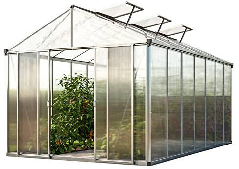 GFP Gewächshaus Rubin 7 aus Alu 262x445 cm, Starke 10 mm Doppelstegplatten formstabil und witterungsbeständig Transparent