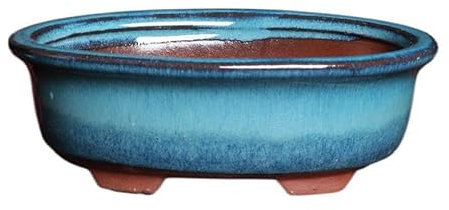 Lot de 2 pots à bonsaï en céramique émaillée moderne avec trou de drainage - Mini pots vintage pour bonsaï - Décoration de jardin (14 x 10 x 4,5 cm)