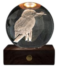 Gingko Design Amber Crystal Light - Kingfisher | Unique 3D Laser-Etched LED Art Lamp | USB Rechargeable Mood Light | Modern Ambient Table Lamp for Home, Bedroom & Gifts