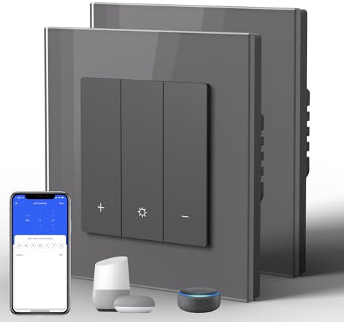 BSEED Dimmer Smart Lichtschalter Glas WIFI Wandlichtschalter (Neutrale Leitung Erforderlich) kompatibel mit Alexa/Google Home 1 Fach 2 Wege Grau, 2Pack