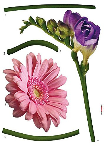 Komar Deco-Sticker FIORE | 50 x 70 cm | Wandtattoo, Wandbild, Wandsticker, Wandaufkleber, Walltattoo, Blumen, Blüten, Natur, Gerbera, Freesien | 18887h
