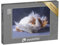 puzzleYOU: Puzzle 500 Teile „Meerschweinchen mit Langer Haarpracht“ – aus der Puzzle-Kollektion Bauernhof-Tiere, Meerschweinchen