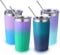 Volhoply Lot de 4 gobelets de voyage en acier inoxydable de 591 ml avec couvercle et paille – Isolation à double paroi – Tasse à café glacé de voyage pour boissons chaudes/froides – Gobelets de voyage