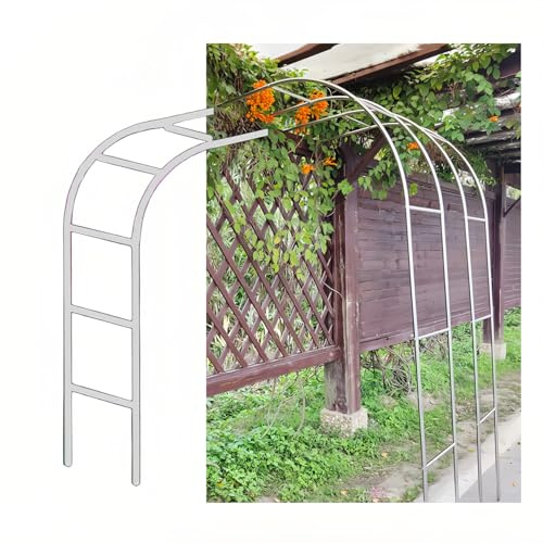 240 cm Metall-Gartenbogen – wetterfeste Edelstahl-Rosenspalier, dekoratives Pergola-Tor für den Außenbereich, 220 x 240 cm, für Garten, Terrasse und Landschaftsdekoration.