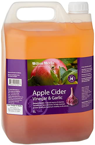 Hilton Herbs Apple Cider Vinegar Plus Garlic 5 Litre