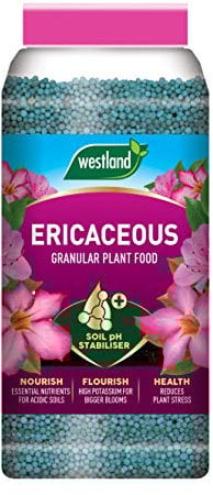 Westland Ericaceous Plant Food Granules Jar 900 g