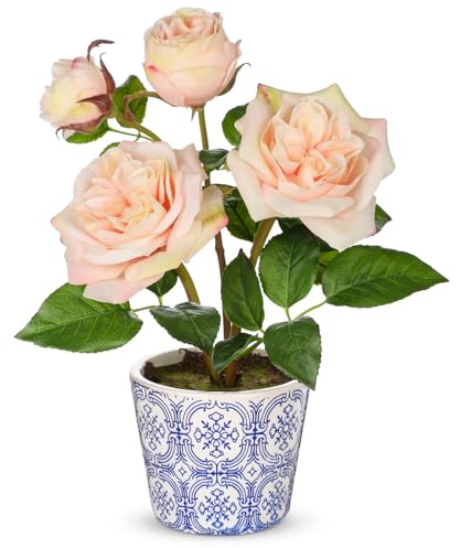 Briful Künstliche Rosen im Topf – Kunstblumen Wie Echt - Real Touch Seidenblumen in Blau-Weiß Keramik Blumentopf – 34cm Hoch – Apricot Deko Pflanze Künstlich für Wohnzimmer, Büro, Fensterbank