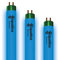 iQuatics Juwel Compatible Aquarium Fluorescent Light Bulb T5 (3 Pack), Blue Plus, 35w 742mm 30”