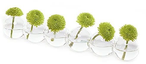 Raupe, klare Glasvase, 26 cm lang, 2,5 cm breit, 3,8 cm hoch, für Kurze Blumen, einzigartige, niedrig sitzende Blumenvase, niedliche Blumenvase für Heimdekoration, Hochzeiten, Blumenarrangements,